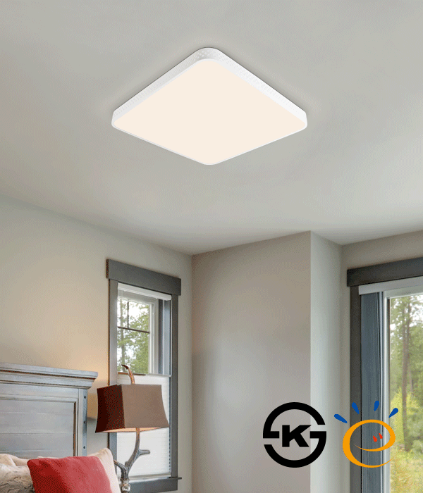 로치 고효율 방등, 안방조명, 안방등 (50W)